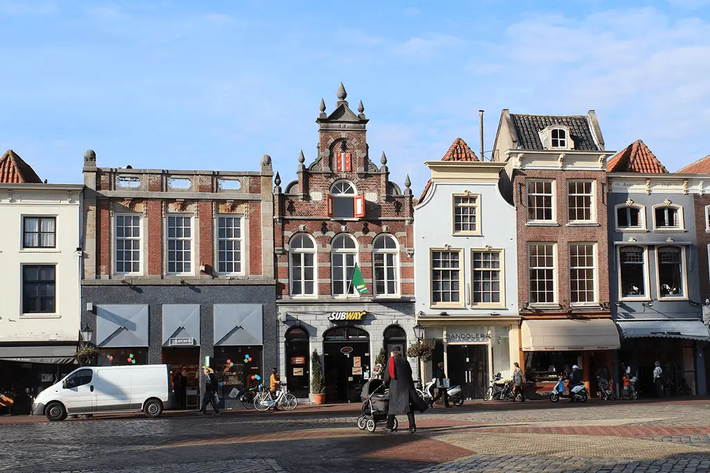 gouda